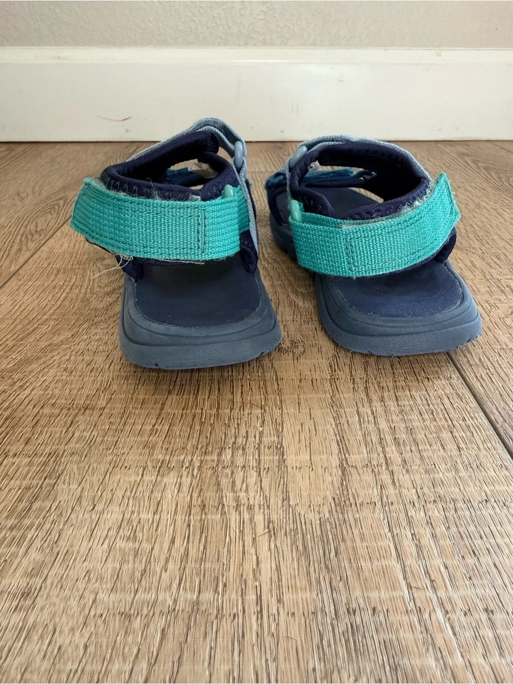 Cat & Jack size 13